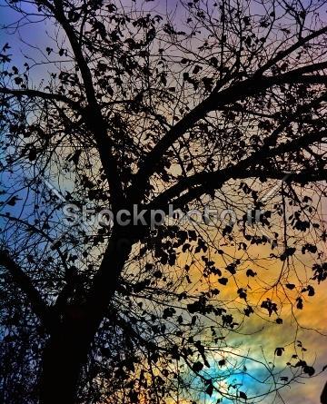 عکس ضد نور طبیعی