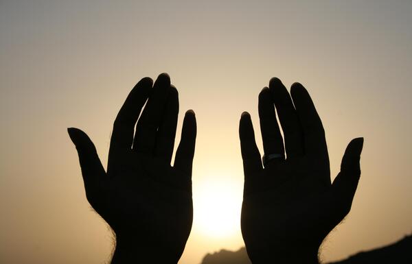 عکس ضد نور طبیعی