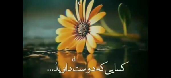 عکس وضعیت واتساپ حرف دل