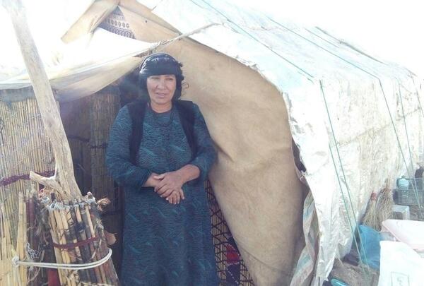 عکس چم زرشک
