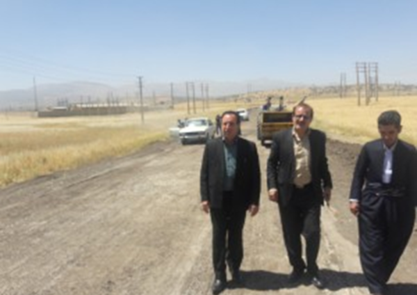 عکس چم زرشک