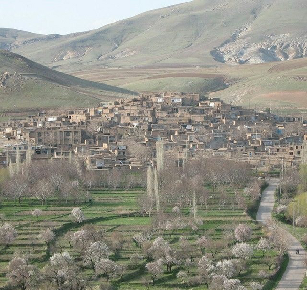 عکس چم زرشک