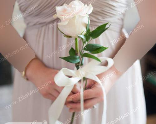 عکس گل رز سفید تک شاخه