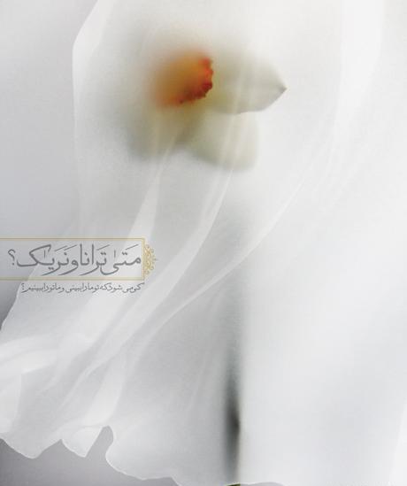 عکس گل نرگس انتظار