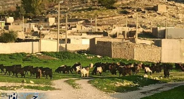 عکس روستای حافظ