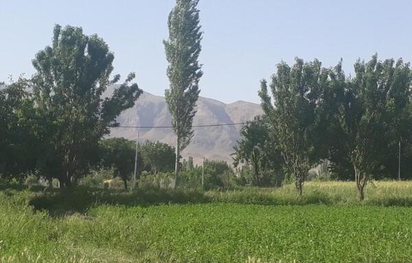 عکس روستای حافظ