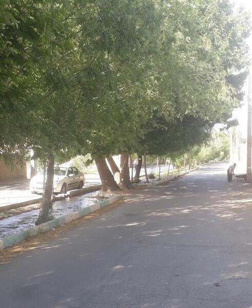 عکس روستای حافظ