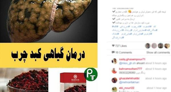 عکس زرشک طلایی
