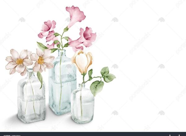 عکس تصویر سفید ساده