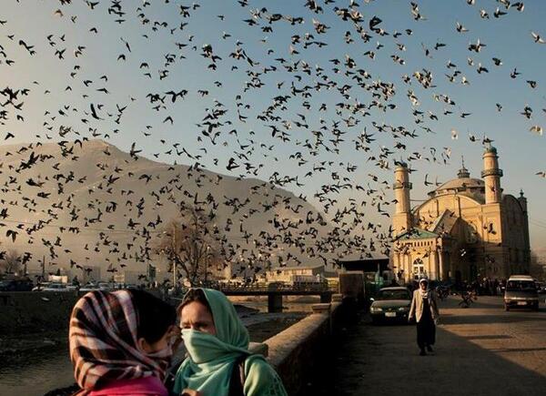 عکس های صلح افغانستان