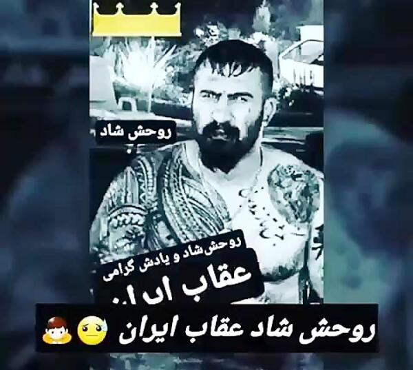 عکسهای وحید مرادی عقاب ایران