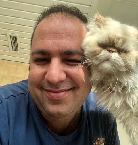عکس گربه بانمک