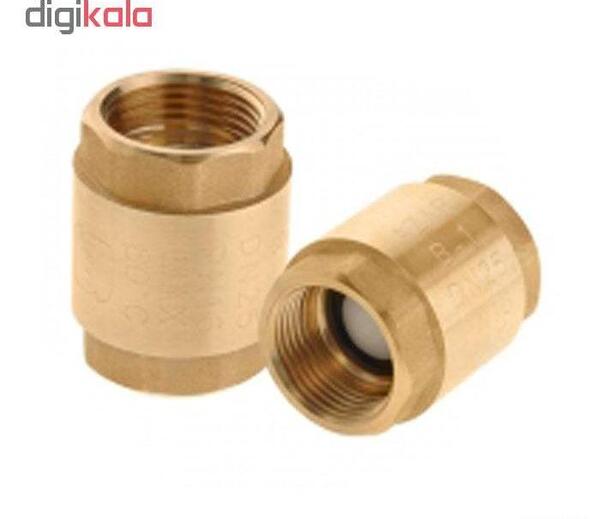 عکس شیر یکطرفه