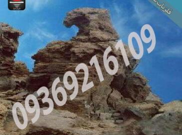 عکس عقاب گنج