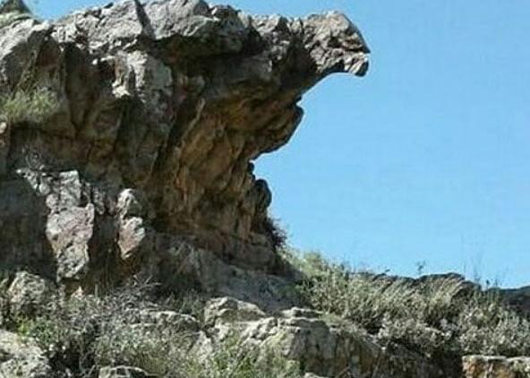 عکس عقاب گنج