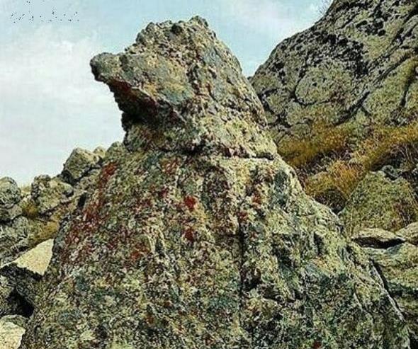 عکس عقاب گنج