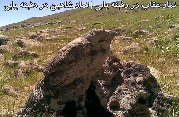 عکس عقاب گنج