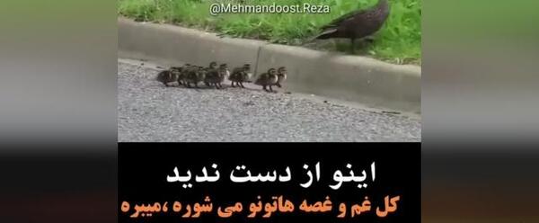 عکس استوری واتساپ باحال