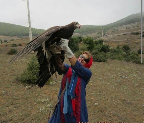 عکس عقاب فروشی