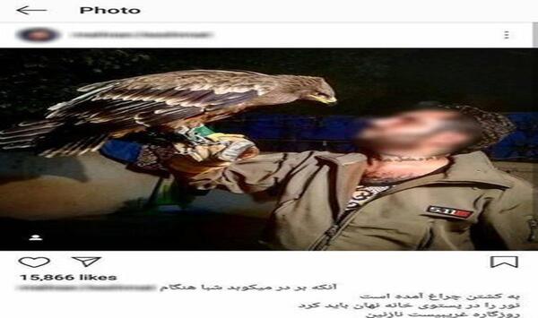 عکس عقاب فروشی