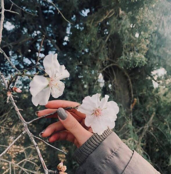 عکس فیک دخترانه یک نفره