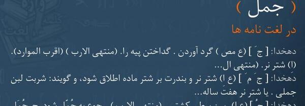 عکس شتر عایشه