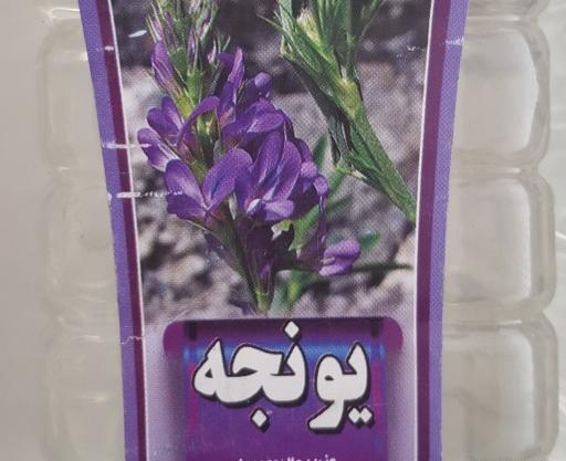 عکس نقاشی یونجه