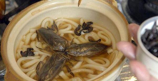 عکس غذا چین