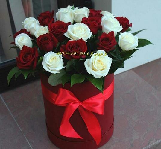 عکس گلهای زیبا برای تبریک