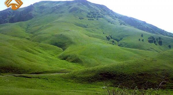 عکس طبیعت حور