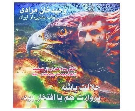عکس وحید مرادی عقاب ایران