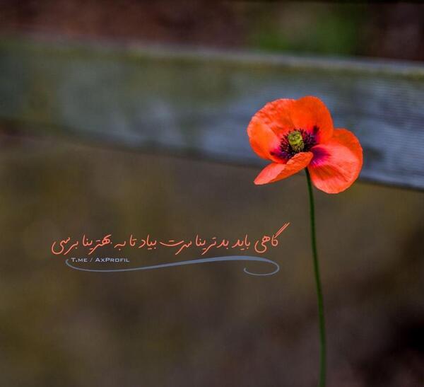عکس شاد و انرژی مثبت