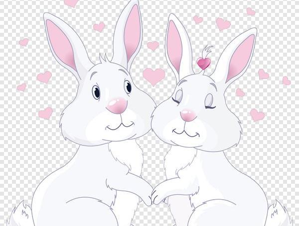 عکس خرگوش عاشقانه