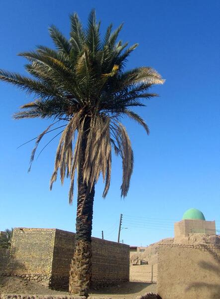 عکس روستای طرود