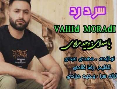 عکس های وحید مرادی خواننده