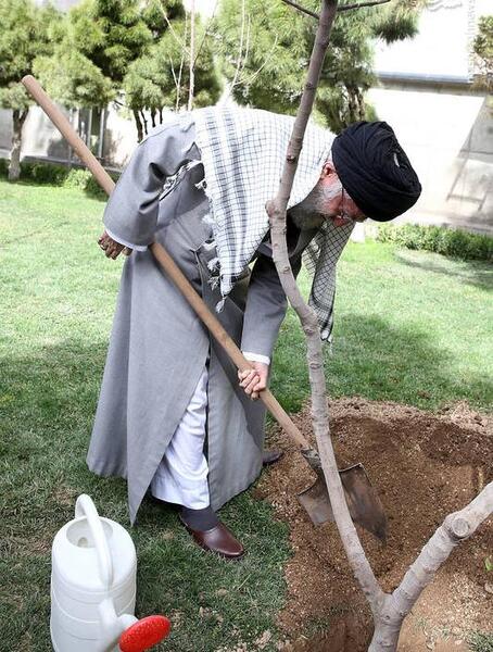 عکس کاشت درختان میوه