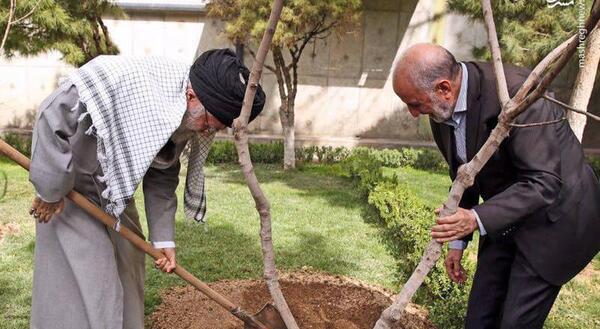 عکس کاشت درختان میوه