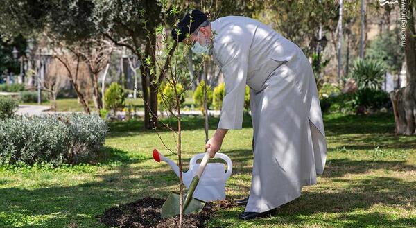 عکس کاشت درختان میوه