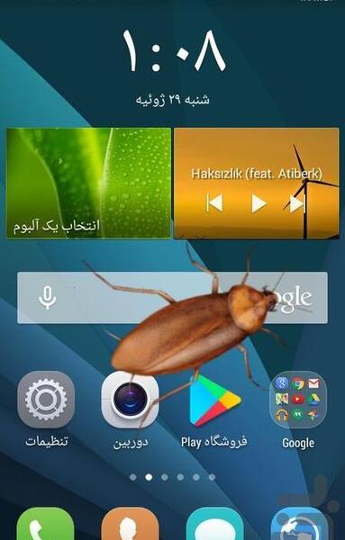 عکس سوسک گوگل