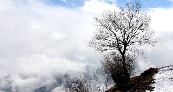 عکس از طبیعت آمل