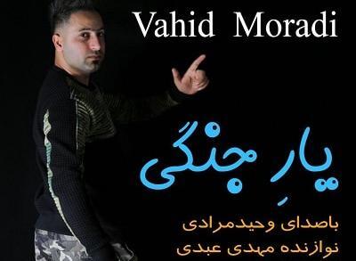 عکس های وحید مرادی خواننده مازندرانی