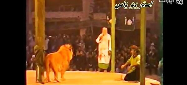 عکس شیر امام حسین