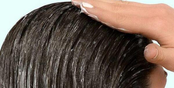 عکس بزرگترین شپش سر