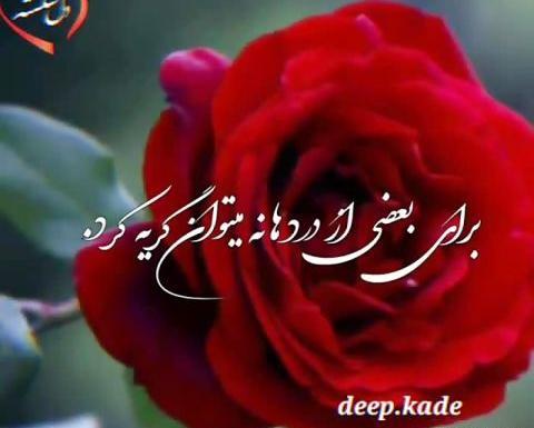 عکس وضعیت واتساپ آهنگ معین