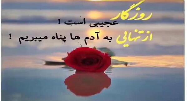عکس وضعیت واتساپ آهنگ معین