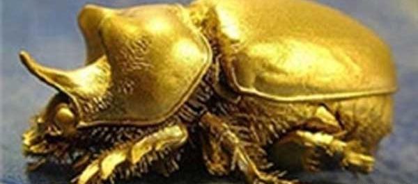 عکس سوسک جالب