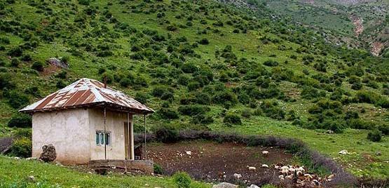 عکس های زیبا شمال