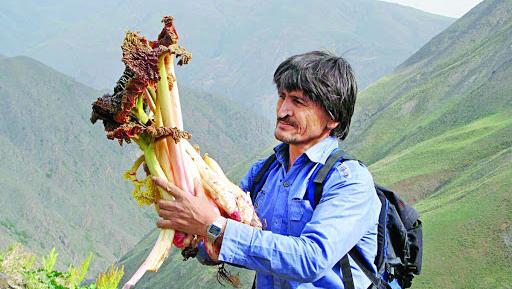 عکس روستای صنوبر تربت حیدریه