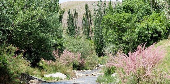 عکس روستای صنوبر تربت حیدریه