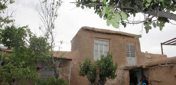 عکس روستای صنوبر تربت حیدریه